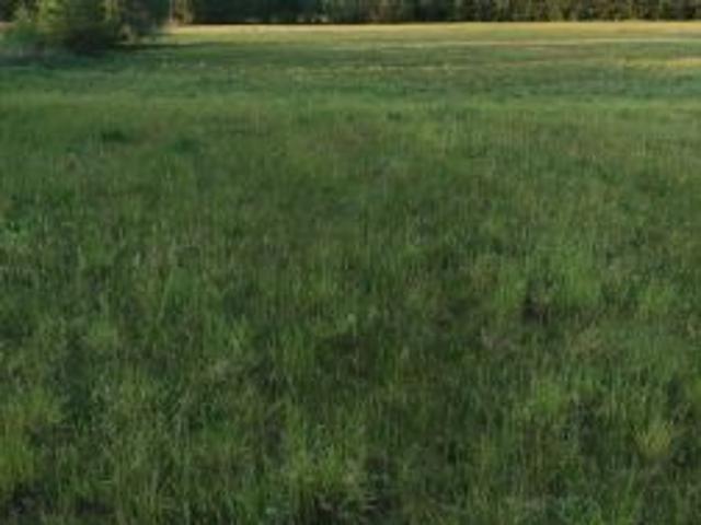 Bezpośrednio, Kawęczyn, 2700 m² Działka