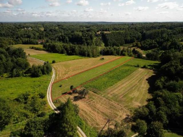 Bezpośrednio, Kazimierz Dolny, Wylągi, 5140 m² Działka