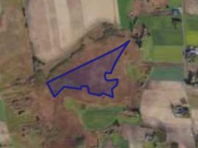 Bezpośrednio, Kazimierowo, 80642 m² Działka