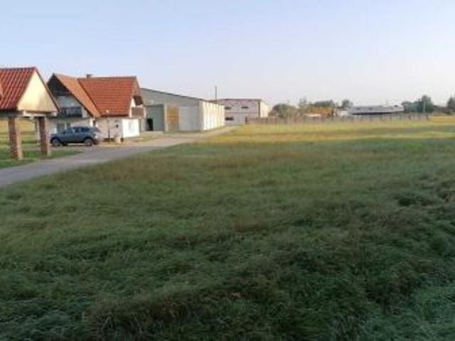 Bezpośrednio, Łąka, 3000 m² Działka