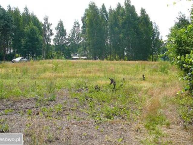 Bezpośrednio, Kaleń, ul. Mszczonowska, 3300 m² Działka