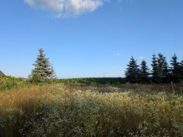 Bezpośrednio, Kalinowo, 1795 m² Działka