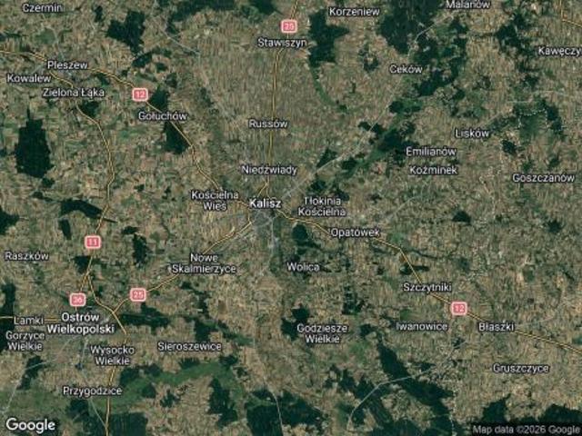 Bezpośrednio, Kalisz, Winiary, ul. Łódzka, 15300 m² Działka