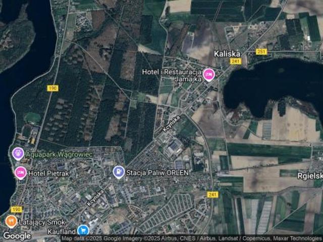 Bezpośrednio, Kaliska, 319 m² Działka