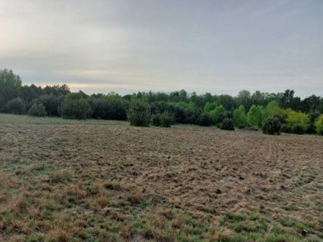 Bezpośrednio, Kalonka, 9999 m² Działka