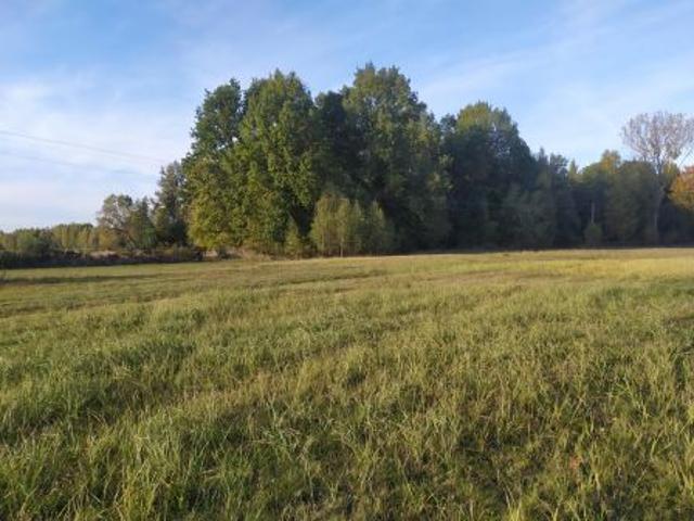 Bezpośrednio, Kamionka, Ostrów, ul. Leśna, 2000 m² Działka