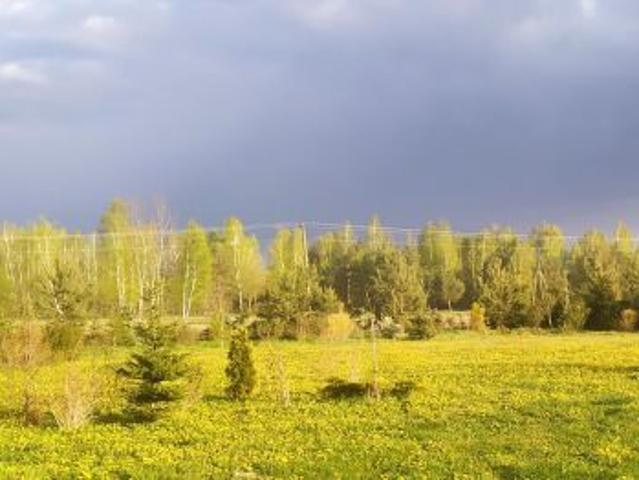 Bezpośrednio, Kamionka, ul. Leśna, 2000 m² Działka