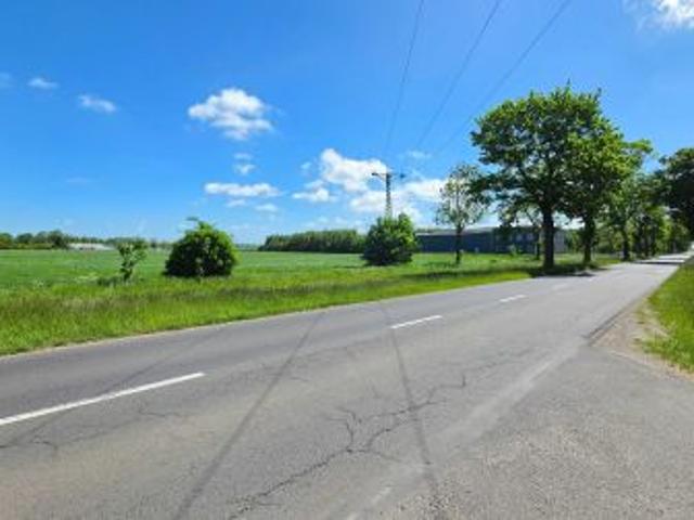 Bezpośrednio, Kamień Pomorski, ul. Szczecińska, 9567 m² Działka