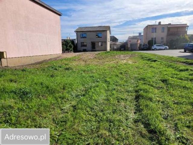Bezpośrednio, Kamieniec, ul. Podgórna, 563 m² Działka