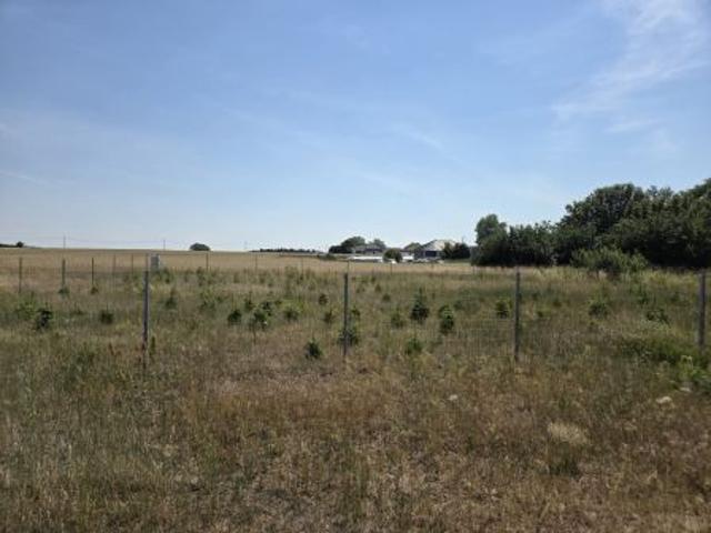 Bezpośrednio, Kania, 1030 m² Działka