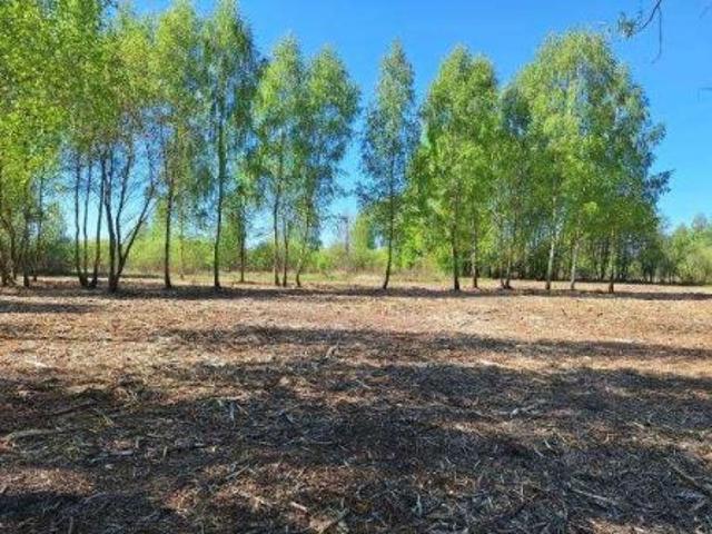 Bezpośrednio, Kaniwola, 3013 m² Działka