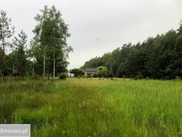 Bezpośrednio, Karczunek, 4303 m² Działka