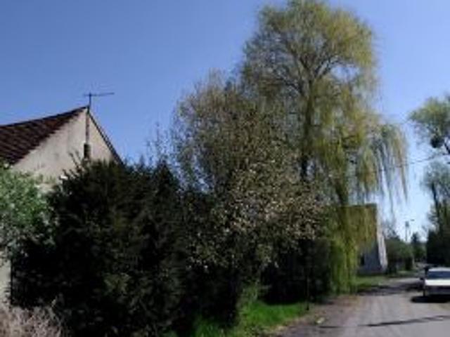 Bezpośrednio, Karczyce, 8700 m² Działka