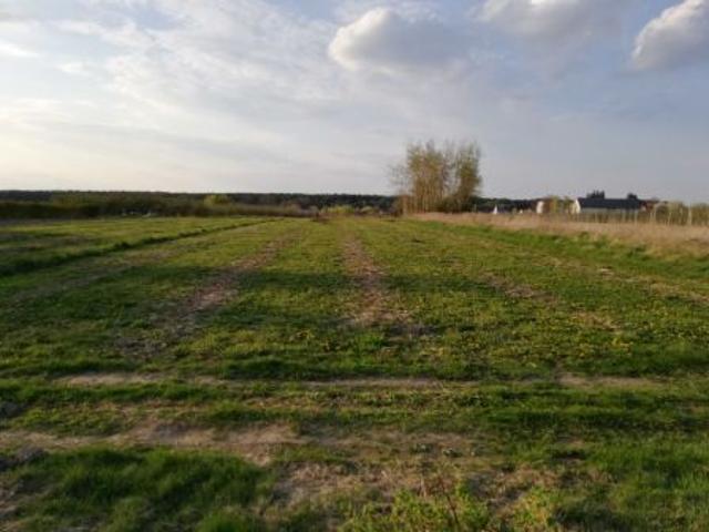 Bezpośrednio, Karczmiska Pierwsze, ul. Pogodna, 6789 m² Działka