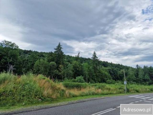 Bezpośrednio, Karpacz, ul. Wielkopolska, 3850 m² Działka