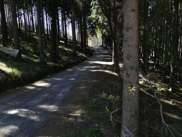 Bezpośrednio, Karpacz, Bierutowice, ul. Wita Stwosza, 1809 m² Działka
