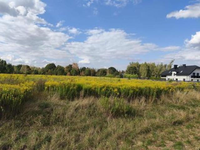 Bezpośrednio, Łuków, ul. Międzyrzecka, 9931 m² Działka