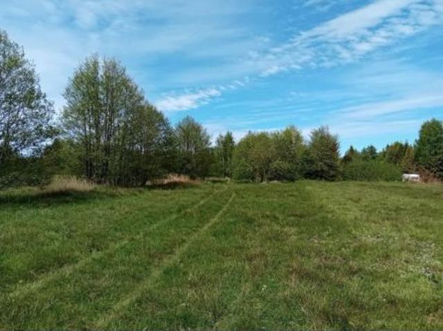 Bezpośrednio, Karwieńskie Błoto Drugie, 600 m² Działka