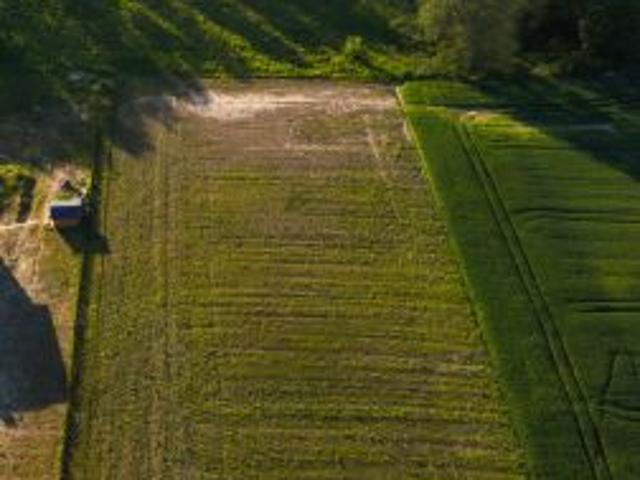Bezpośrednio, Karwin, 5355 m² Działka