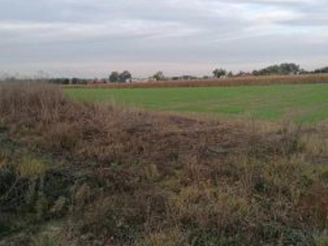 Bezpośrednio, Kcynia, 980 m² Działka