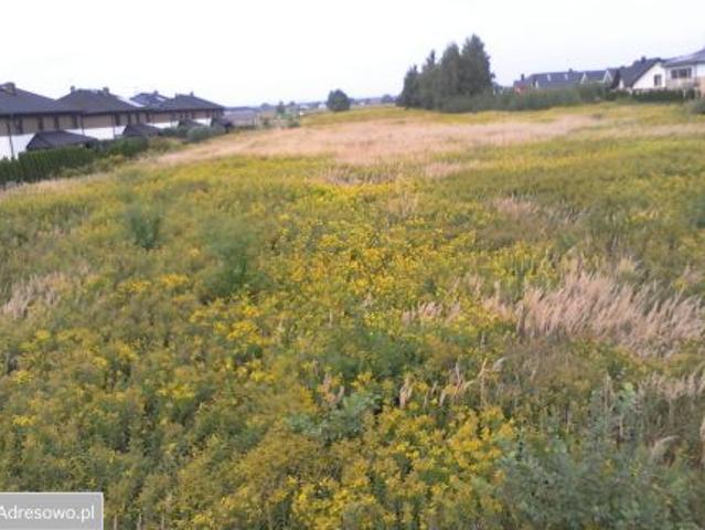 Bezpośrednio, Kiełczów, ul. Wiosenna, 866 m² Działka
