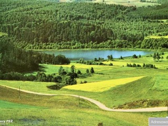 Bezpośrednio, Kiersztanowo, 39100 m² Działka