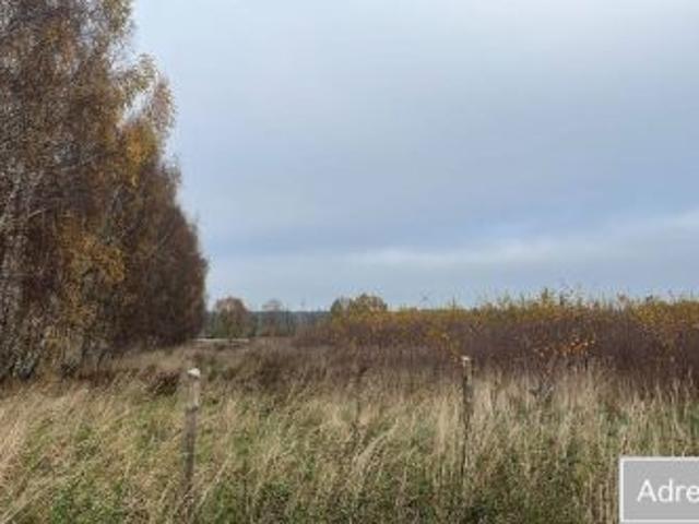 Bezpośrednio, Kierzkowo, 3200 m² Działka