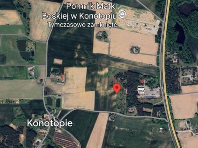 Bezpośrednio, Kikół, 30000 m² Działka