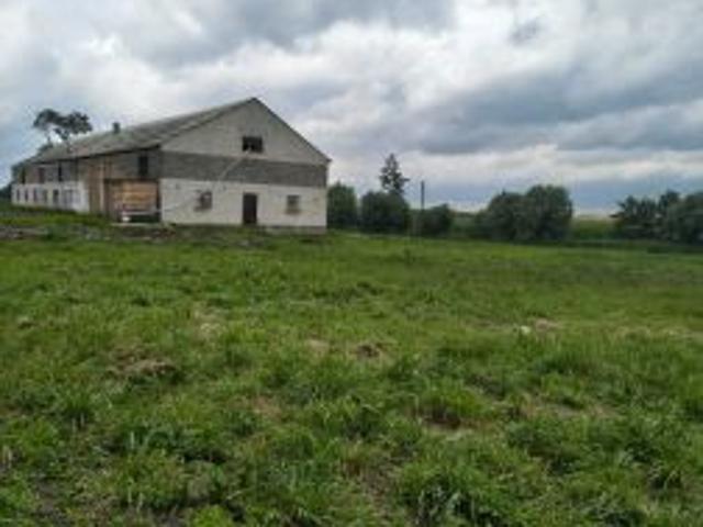 Bezpośrednio, Kiszkowo, 8000 m² Działka