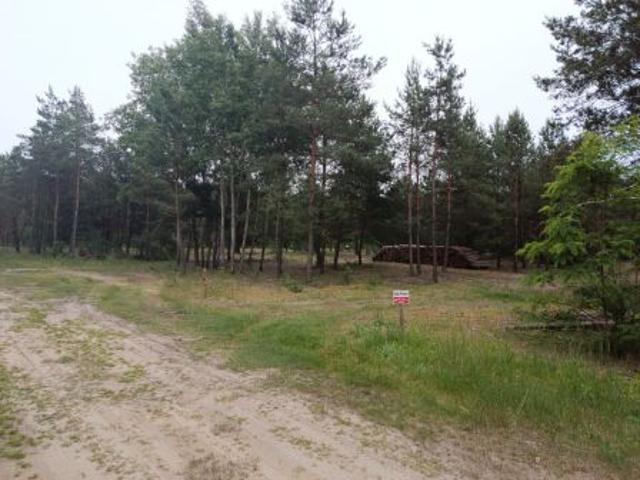 Bezpośrednio, Klempicz, 1223 m² Działka