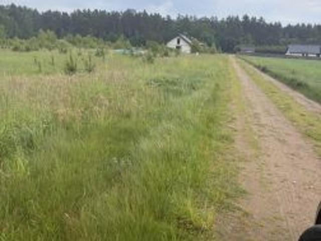Bezpośrednio, Kleszczyniec, 2638 m² Działka