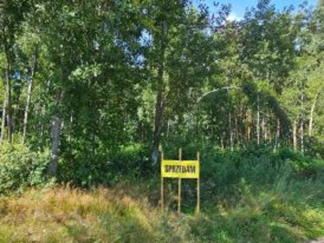 Bezpośrednio, Kleszczyniec, 3292 m² Działka