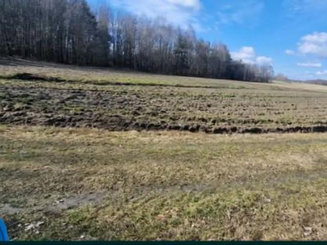 Bezpośrednio, Kliszów, 1200 m² Działka