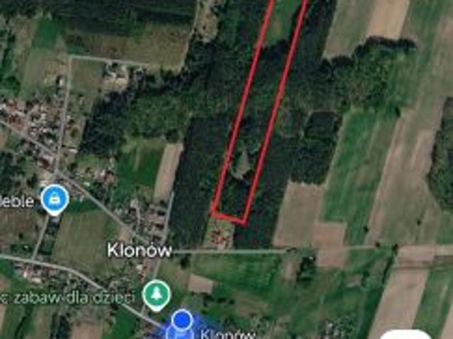 Bezpośrednio, Klonów, 40600 m² Działka