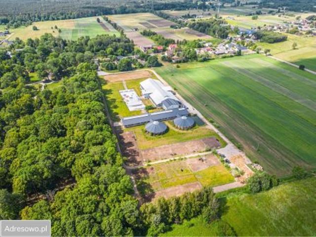 Bezpośrednio, Krubki Górki, 28600 m² Działka