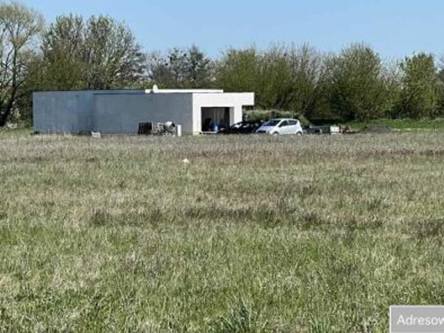 Bezpośrednio, Kruszyn, 1000 m² Działka