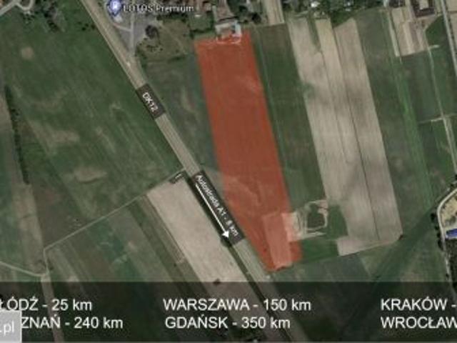 Bezpośrednio, Kruszów, ul. Wolborska, 40000 m² Działka