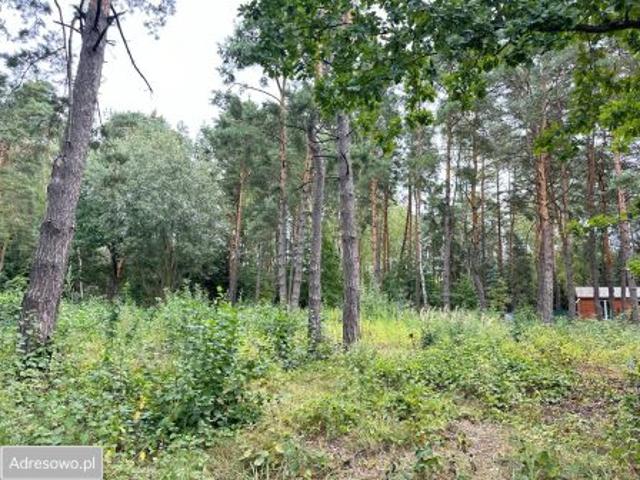 Bezpośrednio, Krupia Wólka, ul. Główna, 2500 m² Działka