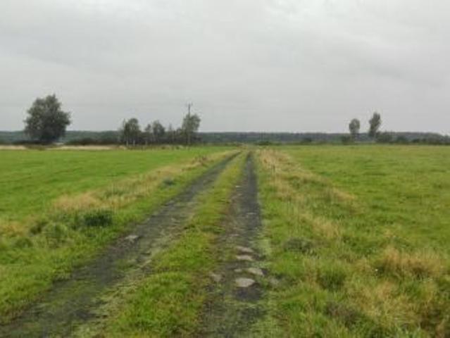 Bezpośrednio, Krupy, 115000 m² Działka