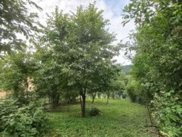 Bezpośrednio, Krynica Zdrój, ul. Źródlana, 350 m² Działka