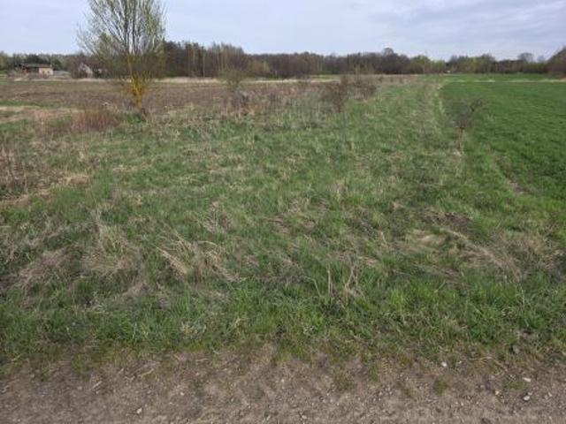 Bezpośrednio, Krzemienica, Górki, 1400 m² Działka