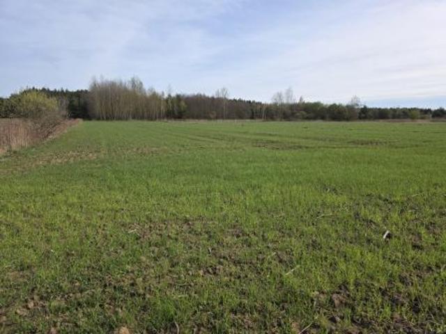 Bezpośrednio, Krzemienica, Górki, 5700 m² Działka