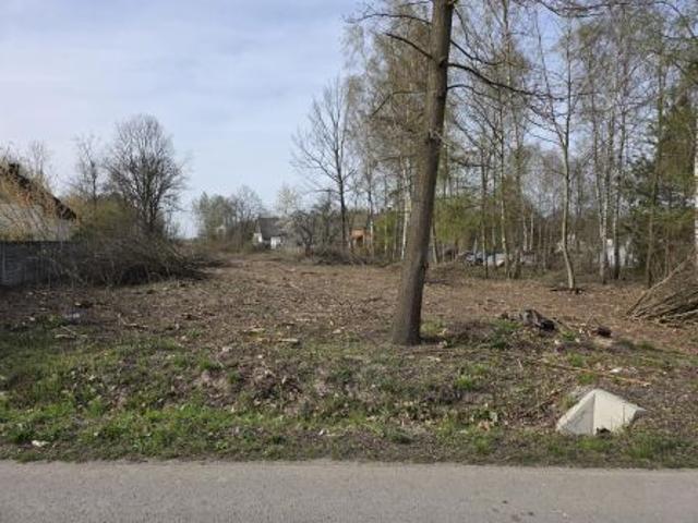 Bezpośrednio, Krzemienica, Górki, 7100 m² Działka
