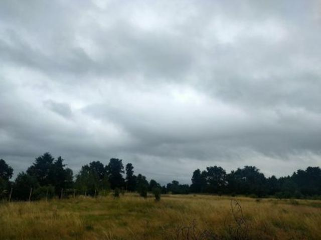 Bezpośrednio, Krzekotów, 800 m² Działka