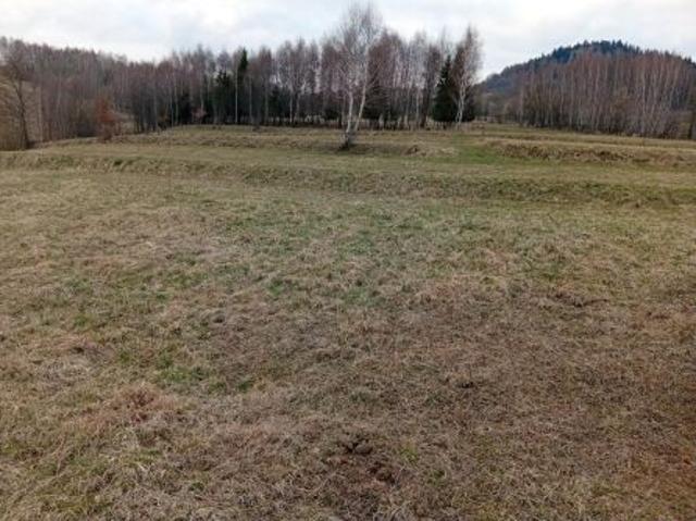 Bezpośrednio, Krzeszów, 1400 m² Działka