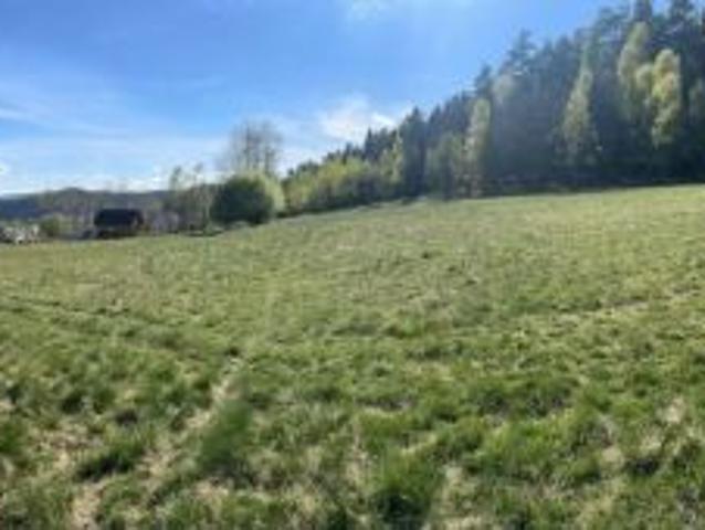 Bezpośrednio, Krzeszów, 5953 m² Działka