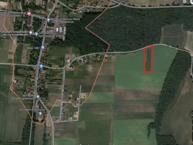 Bezpośrednio, Krzyżowice, Wierzbica, ul. Dębowa, 5200 m² Działka