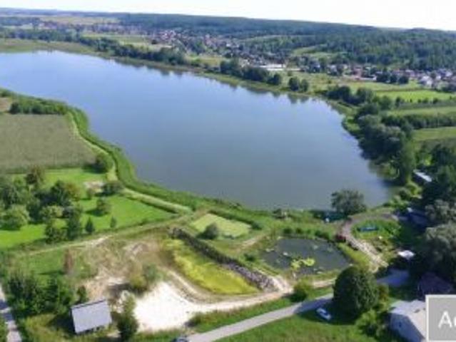 Bezpośrednio, Krzywie, 310444 m² Działka