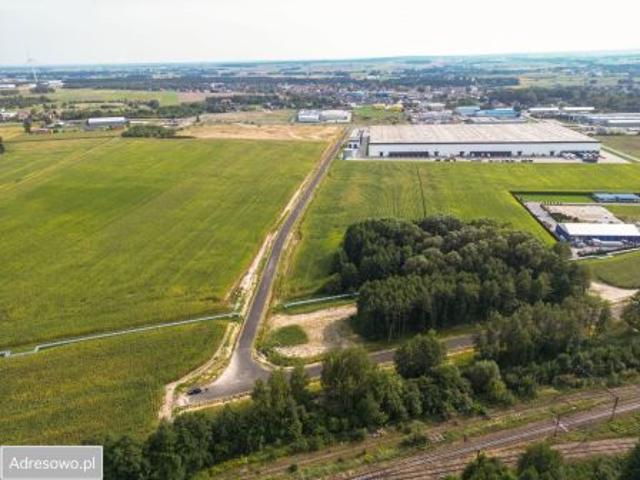 Bezpośrednio, Krążkowy, 10000 m² Działka