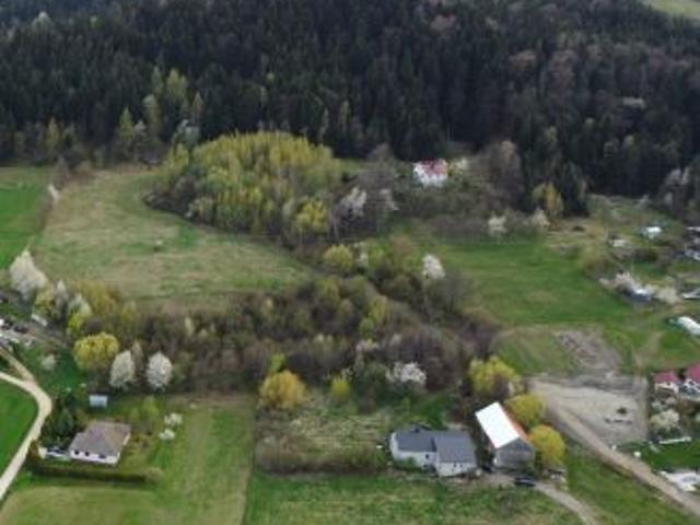 Bezpośrednio, Krasne Potockie, 46400 m² Działka